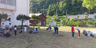 Photo_2